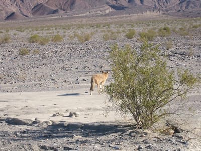 Death Valley, Foto 002