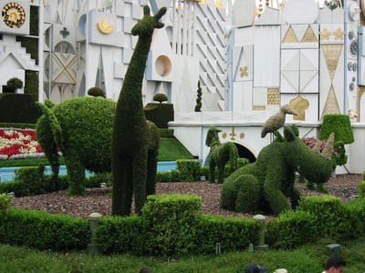 Disneyland, Foto 012
