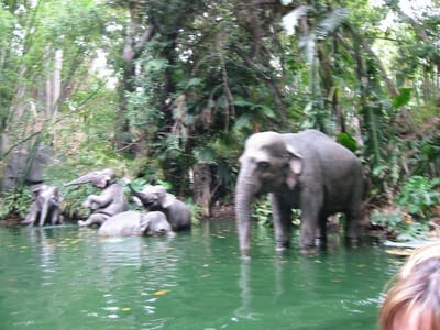 Disneyland, Foto 031