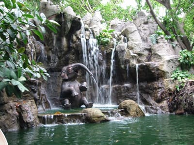 Disneyland, Foto 032