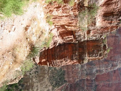 Grand Canyon – North Rim, Foto 003