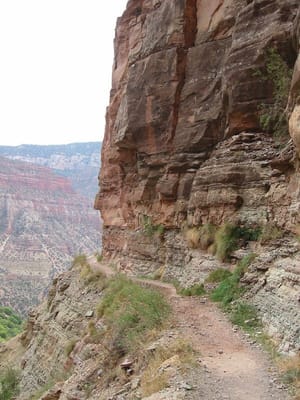 Grand Canyon – North Rim, Foto 005