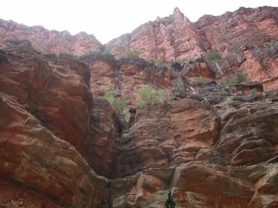 Grand Canyon – North Rim, Foto 006