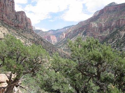 Grand Canyon – North Rim, Foto 011