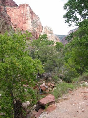 Grand Canyon – North Rim, Foto 014