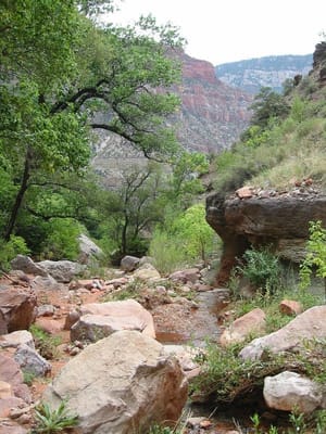 Grand Canyon – North Rim, Foto 015