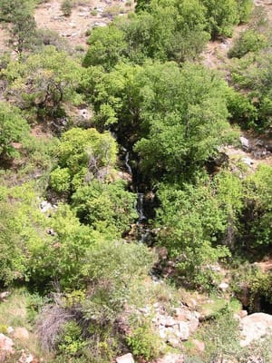 Grand Canyon – North Rim, Foto 017