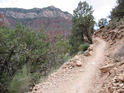 Grand Canyon – North Rim, Foto 020