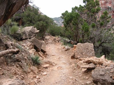 Grand Canyon – North Rim, Foto 021