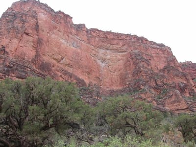 Grand Canyon – North Rim, Foto 022