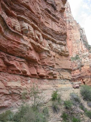 Grand Canyon – North Rim, Foto 023