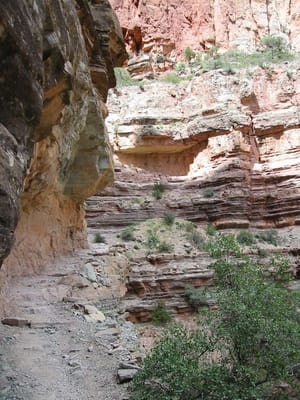 Grand Canyon – North Rim, Foto 027