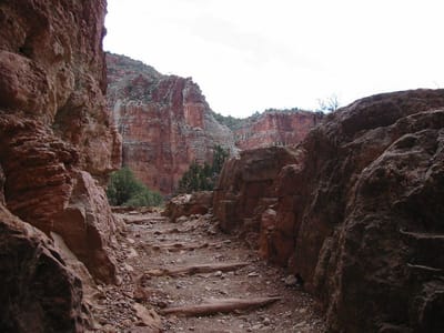 Grand Canyon – North Rim, Foto 034