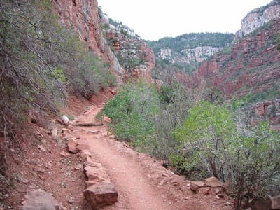 Grand Canyon – North Rim, Foto 037