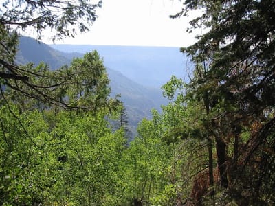 Grand Canyon – North Rim, Foto 073