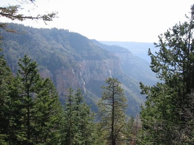 Grand Canyon – North Rim, Foto 075