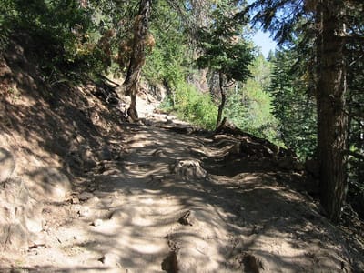 Grand Canyon – North Rim, Foto 076