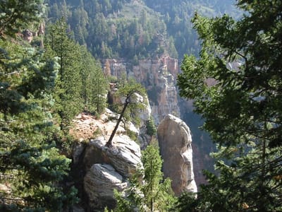 Grand Canyon – North Rim, Foto 078