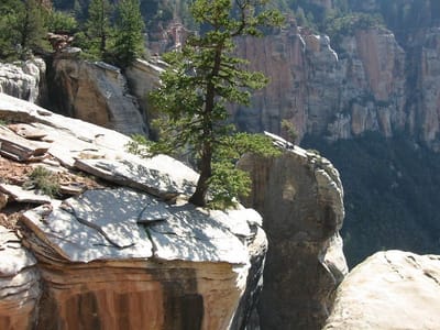 Grand Canyon – North Rim, Foto 079