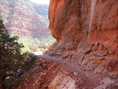 Grand Canyon – North Rim, Foto 100