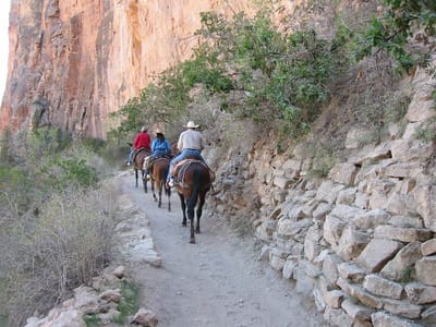 Grand Canyon – South Rim, Foto 031