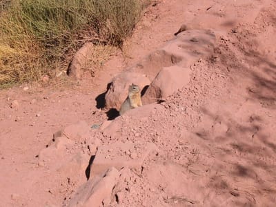 Grand Canyon – South Rim, Foto 038