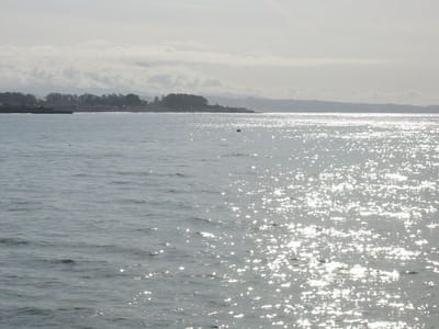 Pazifikküste, Foto 026