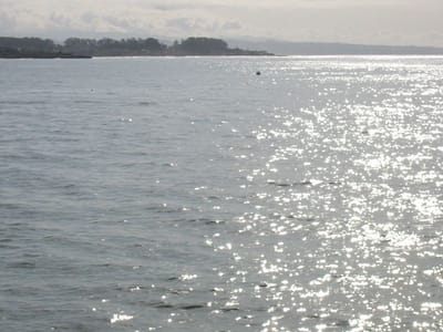 Pazifikküste, Foto 027