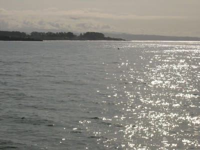 Pazifikküste, Foto 028