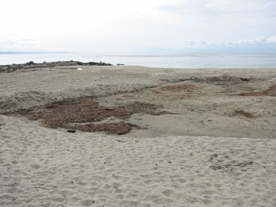 Pazifikküste, Foto 046