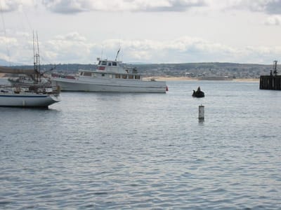 Pazifikküste, Foto 053