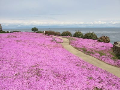 Pazifikküste, Foto 056