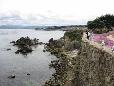 Pazifikküste, Foto 057