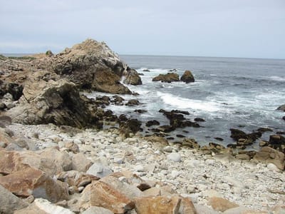 Pazifikküste, Foto 064