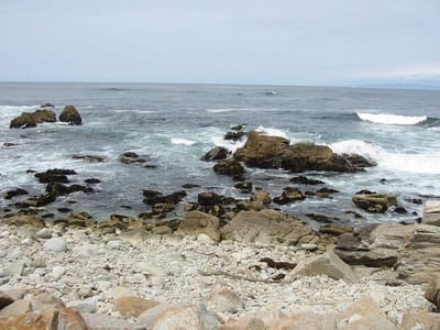 Pazifikküste, Foto 065