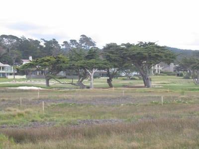 Pazifikküste, Foto 068