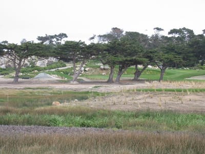 Pazifikküste, Foto 069