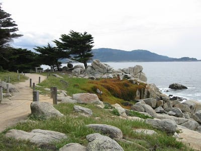 Pazifikküste, Foto 072