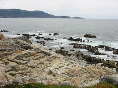 Pazifikküste, Foto 073