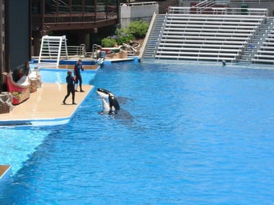 SeaWorld San Diego, Foto 010