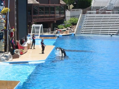 SeaWorld San Diego, Foto 011