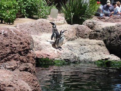 SeaWorld San Diego, Foto 021
