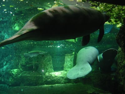SeaWorld San Diego, Foto 022