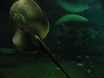 SeaWorld San Diego, Foto 028