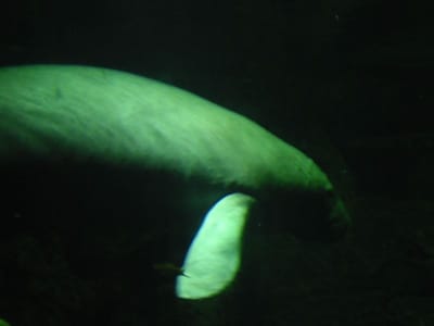 SeaWorld San Diego, Foto 029