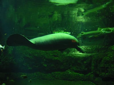 SeaWorld San Diego, Foto 030
