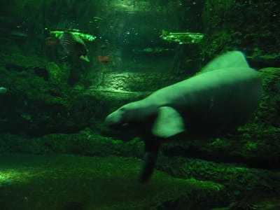 SeaWorld San Diego, Foto 033