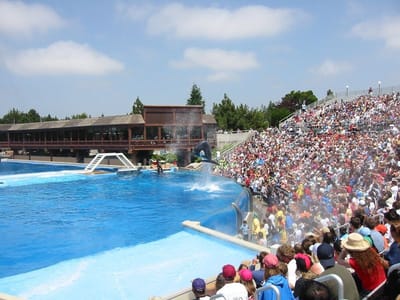 SeaWorld San Diego, Foto 050
