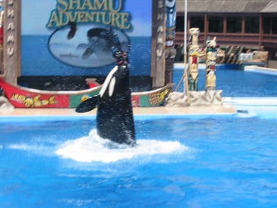 SeaWorld San Diego, Foto 052