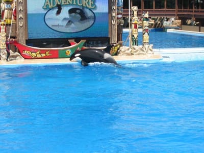 SeaWorld San Diego, Foto 053